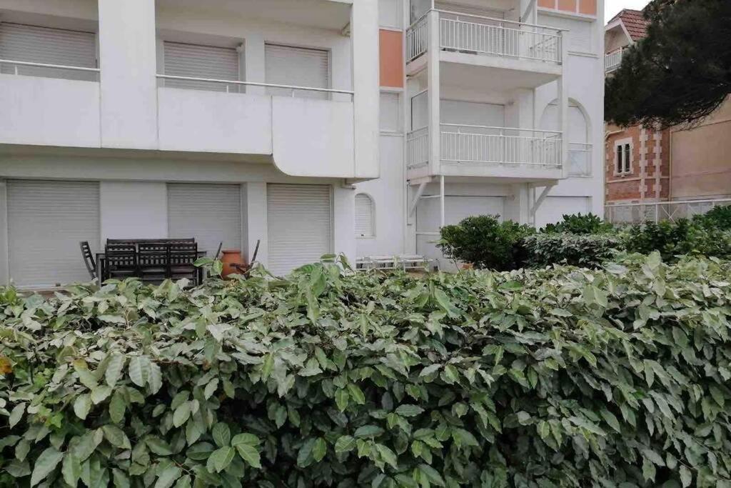 Appart Sur La Plage Pied Dans L Eau Avec Terrasse Jardin Vue Sur Le Bassin Depuis La Terrasse , Parking Arcachon Exterior foto